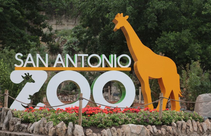 San Antonio Zoo