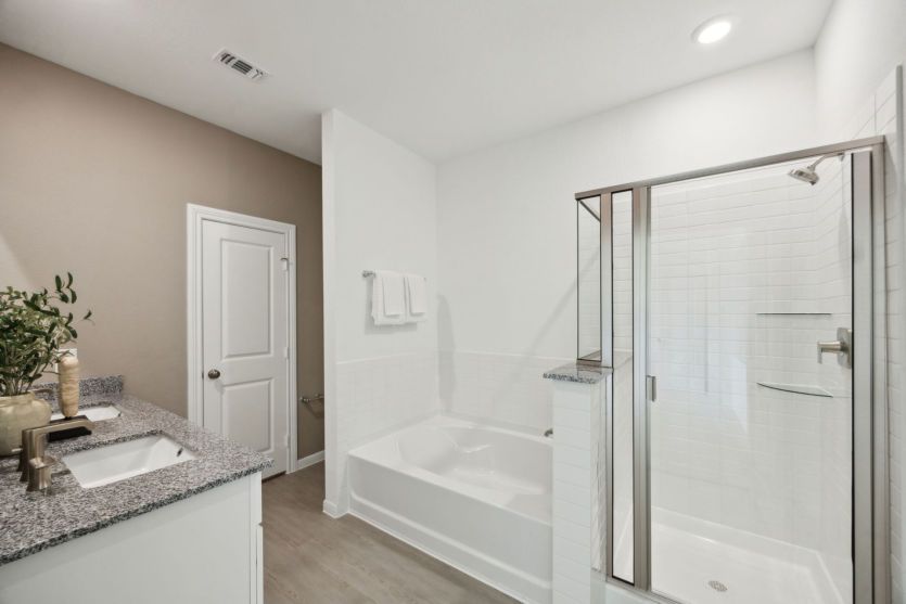 Owner's Bath