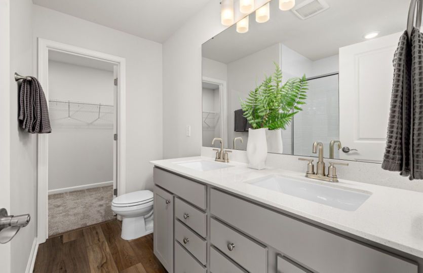 Bright Owner's Bath - Model Representation