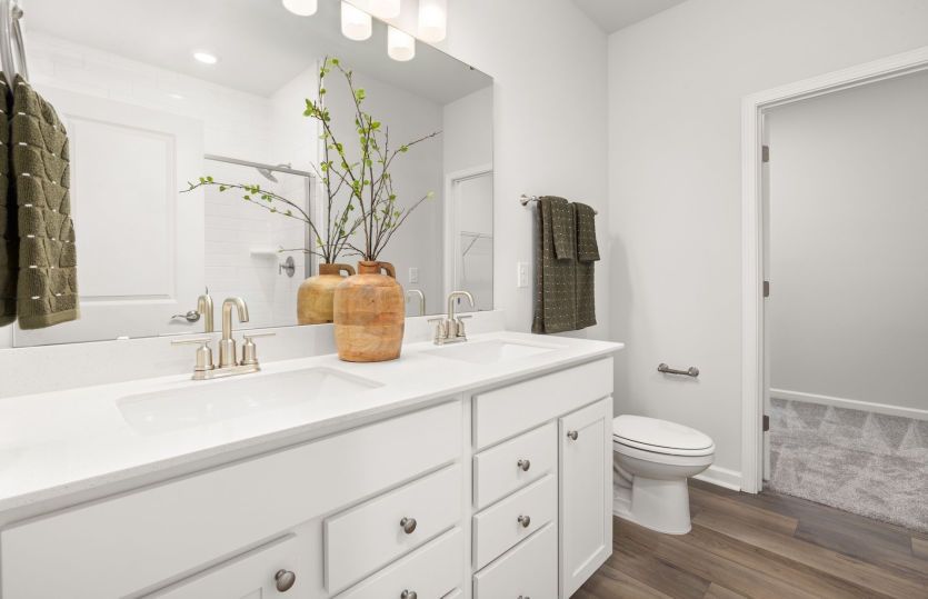 Owner's Bath