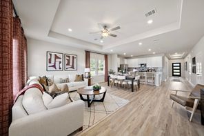29014 Fig Vine Drive (BRAZOS)