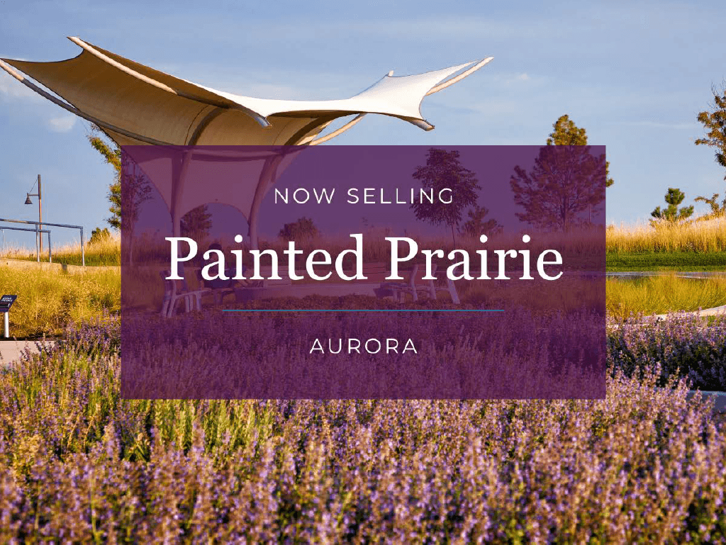 Painted Prairie