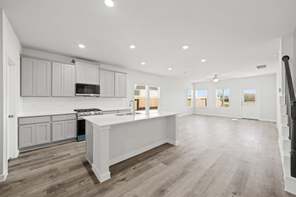17214 White Peace Drive (MEDINA)