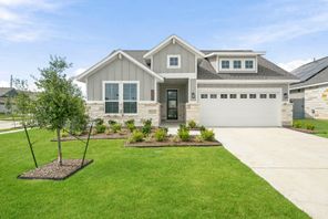 32303 Clouser Minnow Court (Piccadilly)