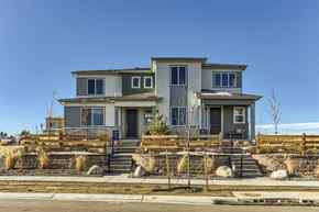Paired Homes - Parker, CO