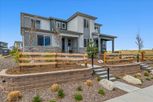 Paired Homes - Parker, CO