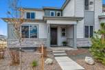 Paired Homes - Parker, CO