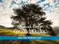 casa en Grand Oaks por Century Communities