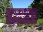 Sweetgrass - Dacono, CO