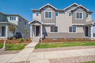 Blue Spruce | Residence 24202 - Alder Creek: Parker, Colorado - Century Communities