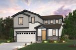 The Haven Collection - Aurora, CO