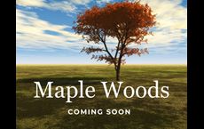 Maple Woods: Hockley, Texas - Century Communities