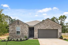 Liberty Collection - Conroe, TX