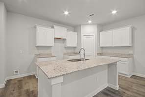 26211 Venus Trap Trail (MULBERRY)