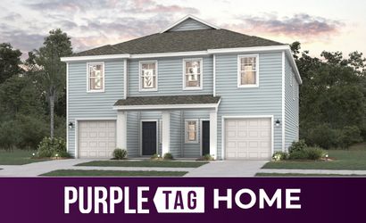 205 Brazil Nut Cir (Davor)