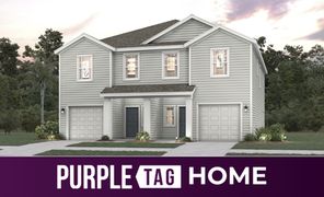 199 Brazil Nut Cir (Davor)