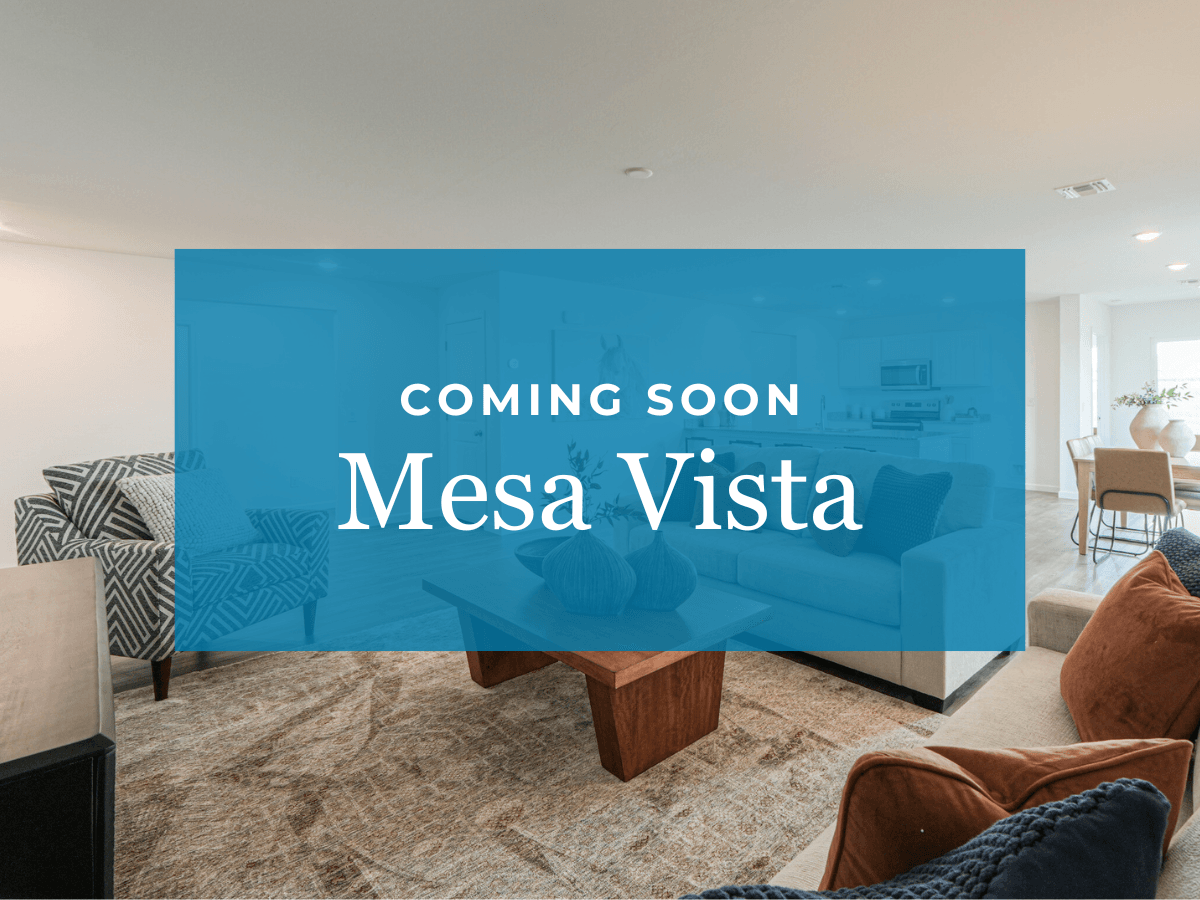 Mesa Vista - Fort Mohave, AZ