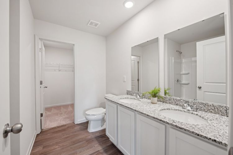 Holly Springs Primary Bathroom