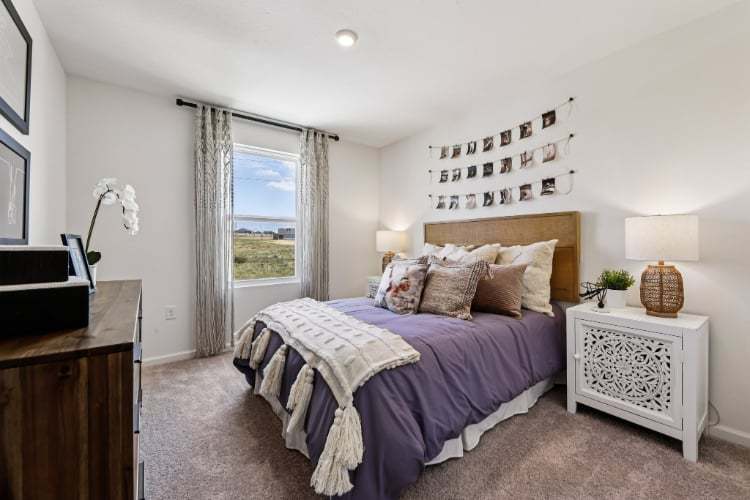 2519 Cardamom Court (MAYFIELD II)