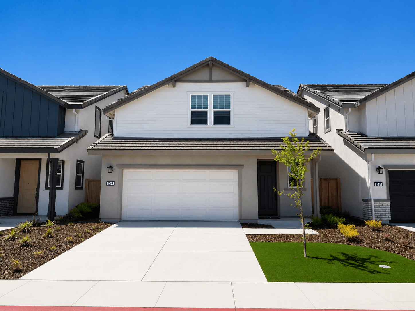 1007 Ginkgo Circle (Plan 8)