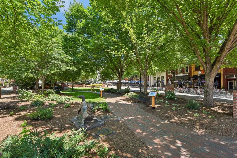 Downtown Spartanburg | Morgan Square