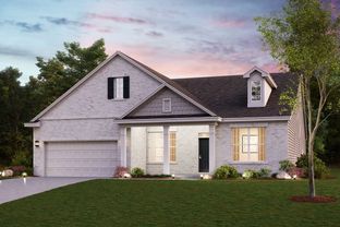 River Birch - Oakhurst Manor: McDonough, Georgia - Century Communities