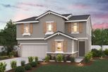 Rialto Collection - Lincoln, CA