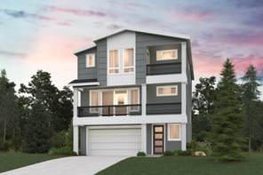 17530 NE Midnight Sun Loop (Rainier)