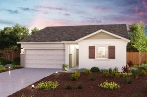 913 Potomac St (Camellia)