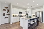 Eastwood at Sonterra - Jarrell, TX