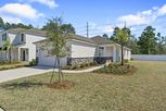 Palm Series - Jacksonville, FL