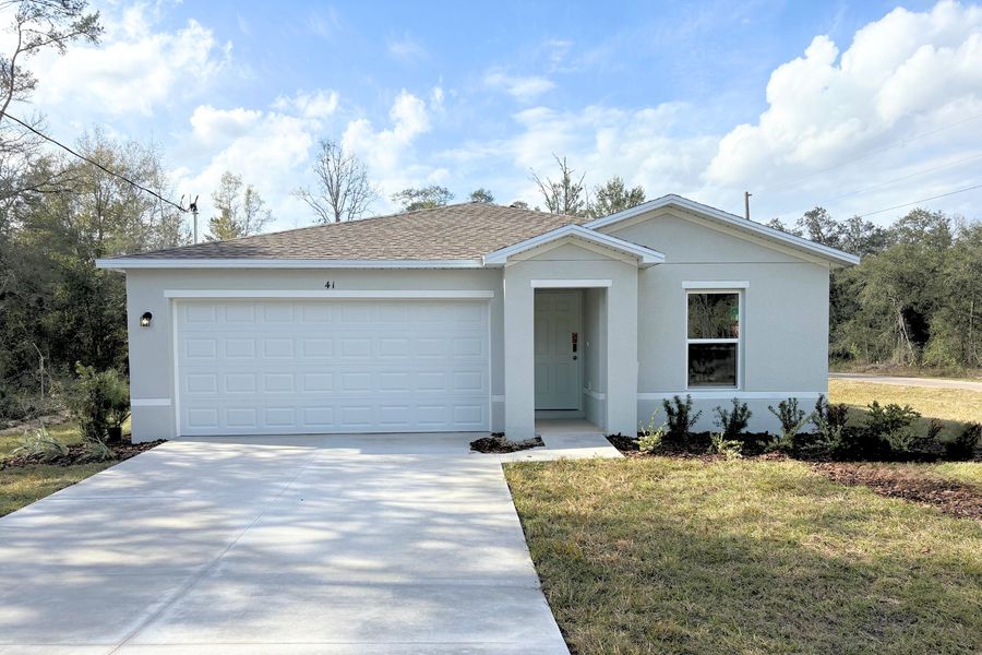 41 Fisher Ln Crse. Ocklawaha, FL 32179