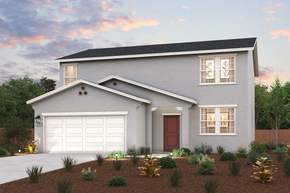 Larkspur - Visalia, CA