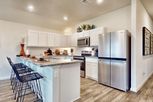 Middlefield Village - Dallas, TX