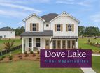 Dove Lake - Grayson, GA