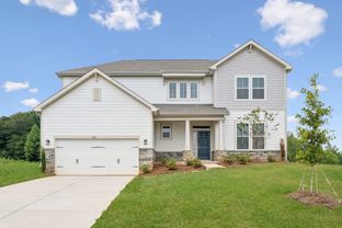 Daffodil - Wynswept: Maiden, North Carolina - Century Communities
