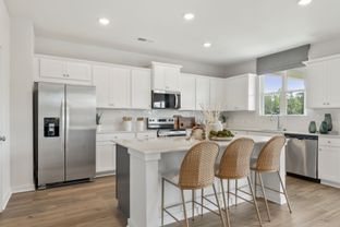 Guava - Tributary: Dallas, Georgia - Century Communities