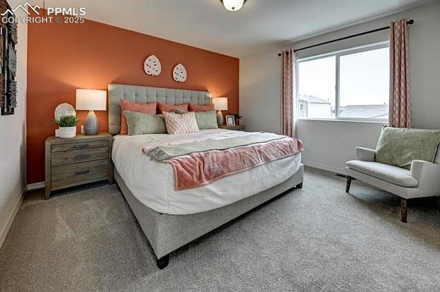 2131 Backpack Point (The Elbert)