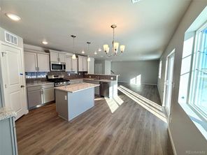 736 N Carrie Ct (The Chatfield)