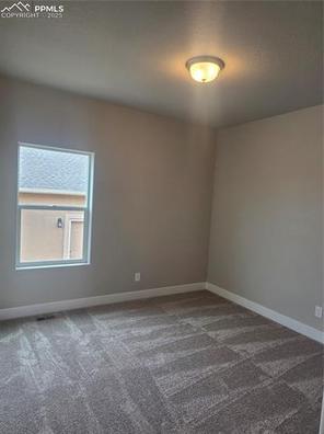 8582 Noreen Falls Drive (The Matterhorn)