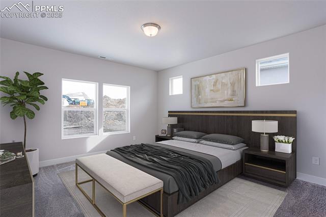 16311 Cattle Creek Court (The Weisshorn)