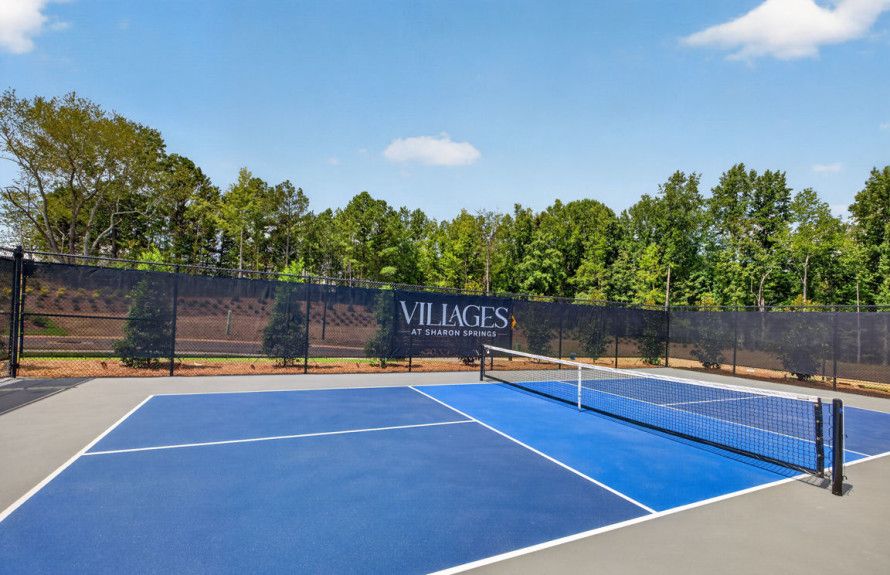 Pickleball Court