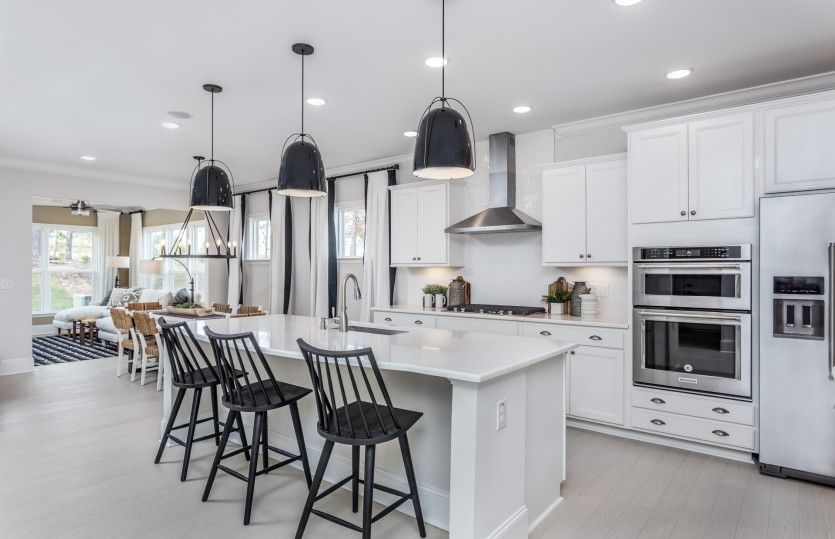 Gourmet kitchen