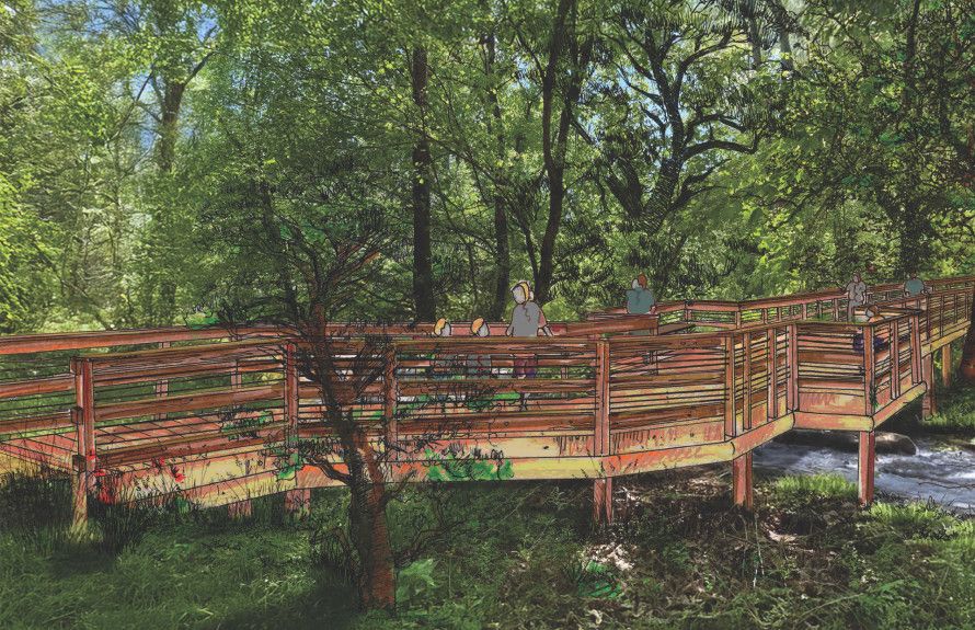 Future Pedestrian Boardwalk