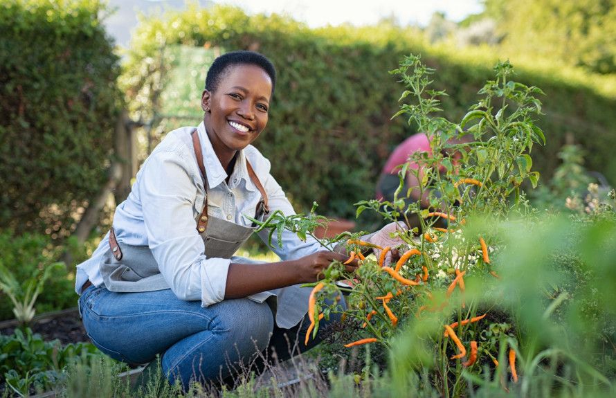 Community Garden