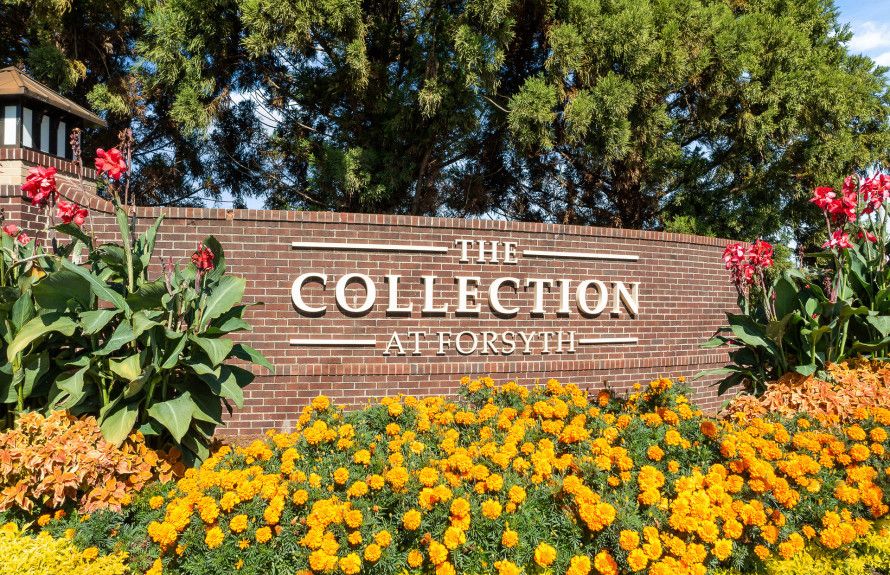 Nearby Collections at Forsyth