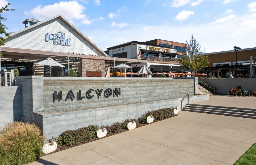 Nearby Halcyon