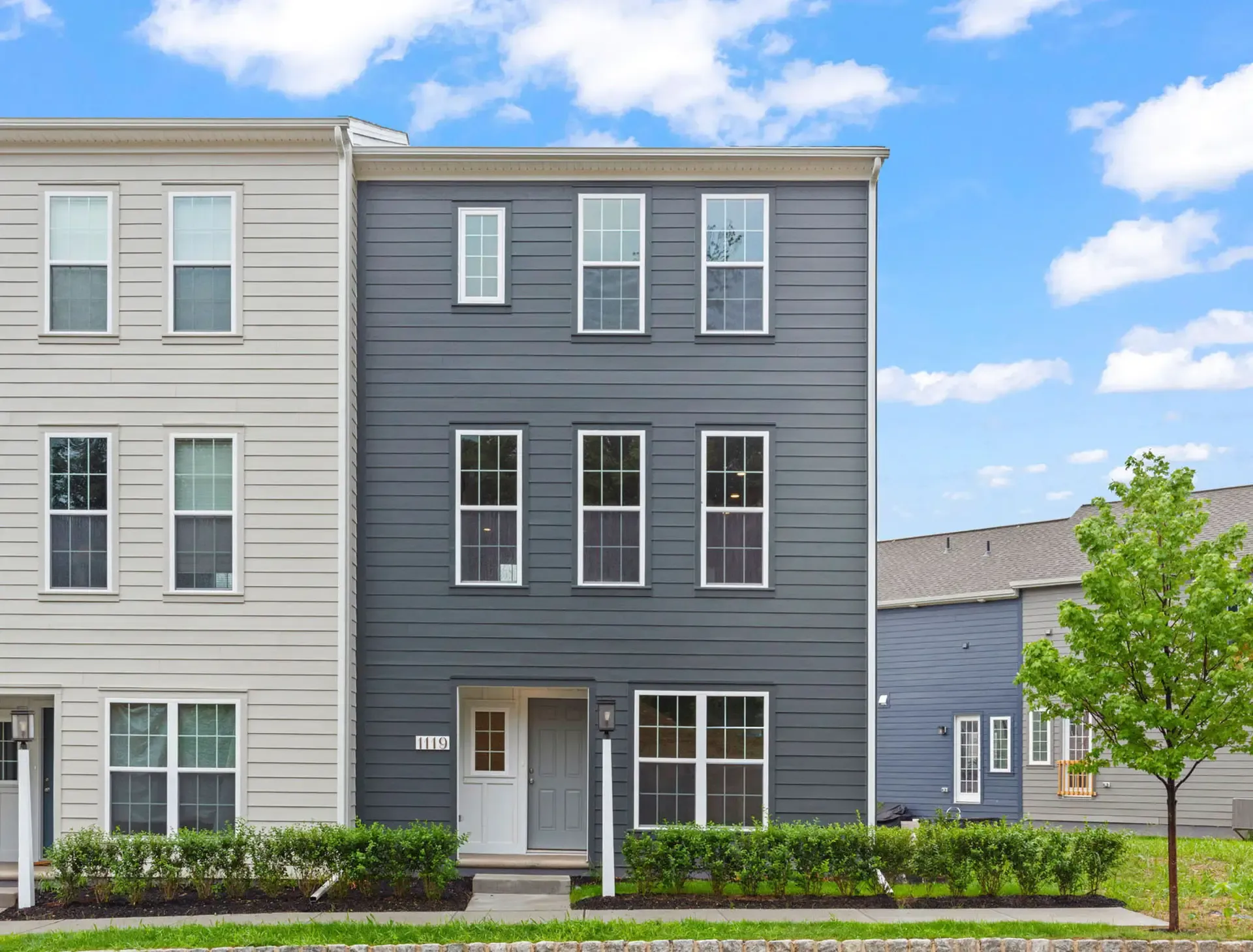 1119 James Street (T2251) Image