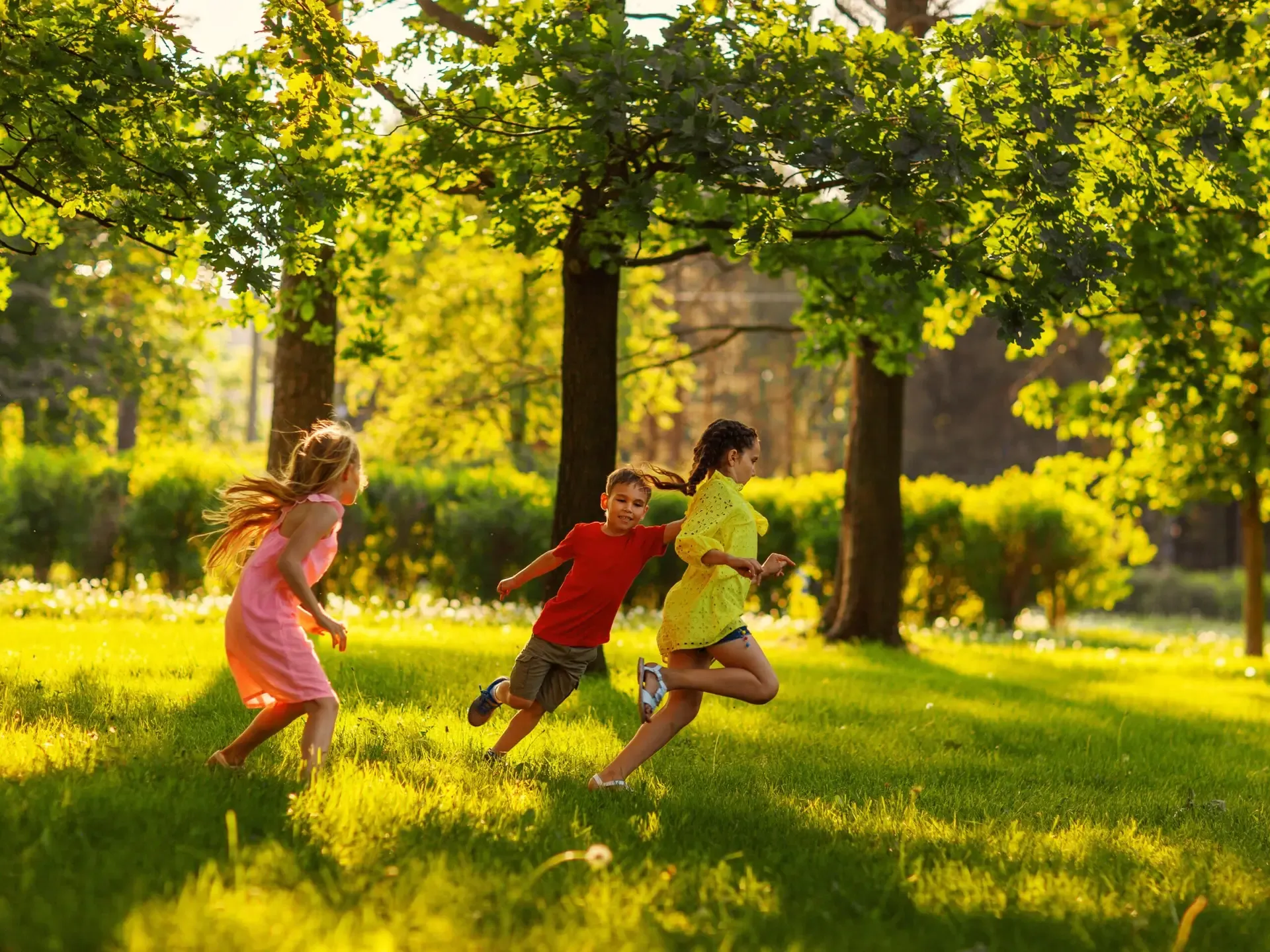 Enjoy a fun filled afternoon in the Grove