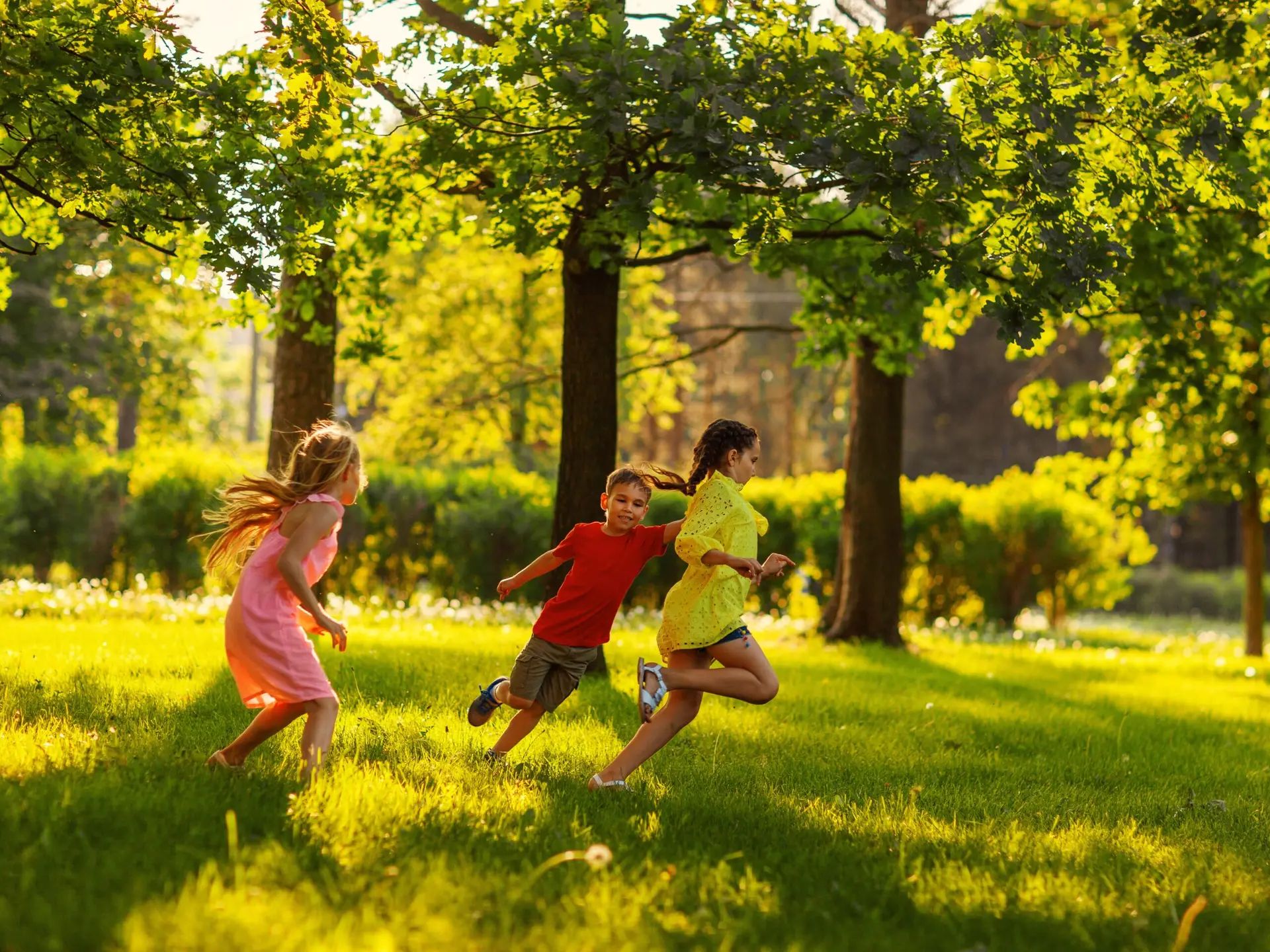 Enjoy a fun filled afternoon in the Grove